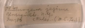 Media type: image;   Entomology 733352 Aspect: labels